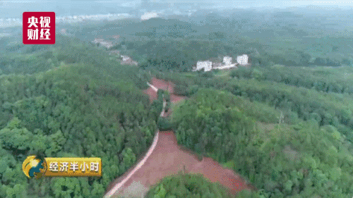 search